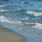 Explore the Waters with Reel Groovy Experiences Fishing Trips