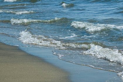 Explore the Waters with Reel Groovy Experiences Fishing Trips