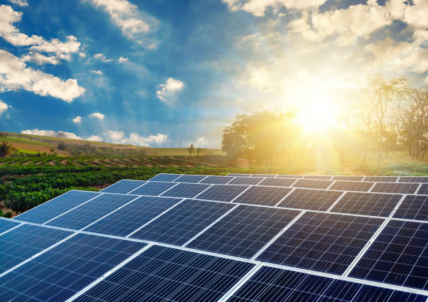 Professional Solar Companies Sacramento for Residential Projects