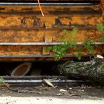 Tree Removal Springfield Services You Can Rely On | Lufkin Environmental